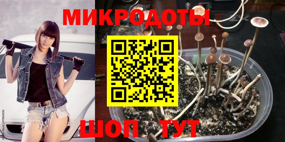 Псилоцибиновые грибы мицелий  закладки  Псилоцибиновые грибы Psilocybine cubensis  Россошь  Вход с VPN 